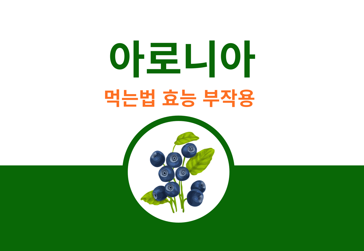 아로니아 먹는법 효능 부작용