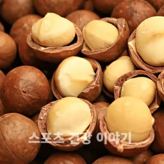 마카다미아 효능 부작용 섭취량_5