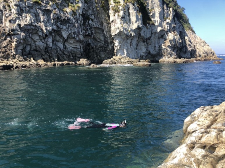 제주버스노선 2020.09 제주 800번 800-1번 11