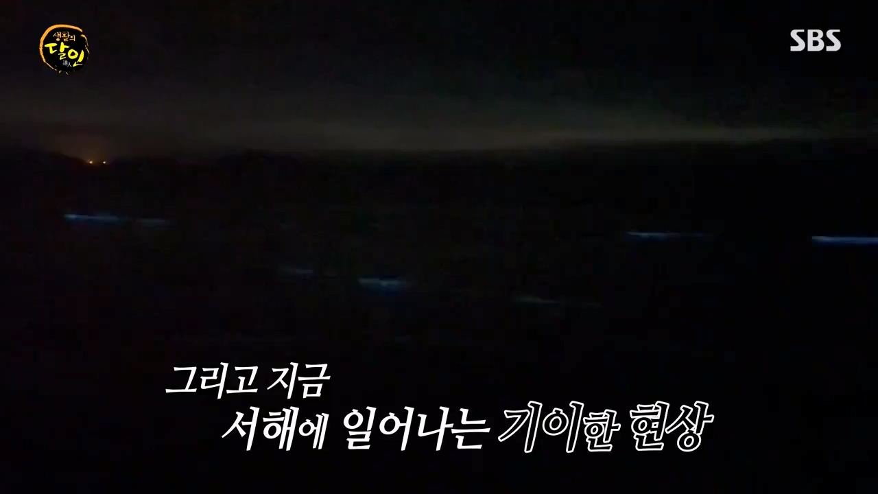 생활의 달인.E900.230808p-NEXT.mp4_20230808_204302.055.jpg