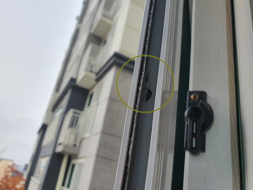 벌레 차단 창문틈 방충망 용인 아파트벌레