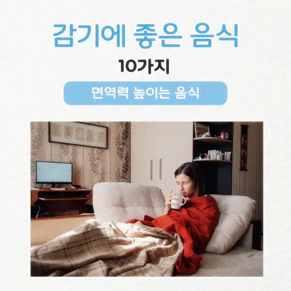 감기에 좋은 음식
