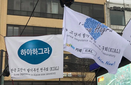 깃발 이미지