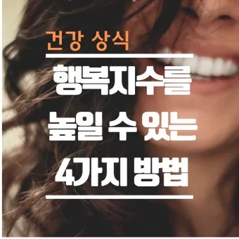 2025 세계 행복지수 순위 gdp_14