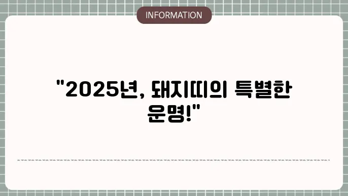 2025년 운세 돼지띠 신년운세
