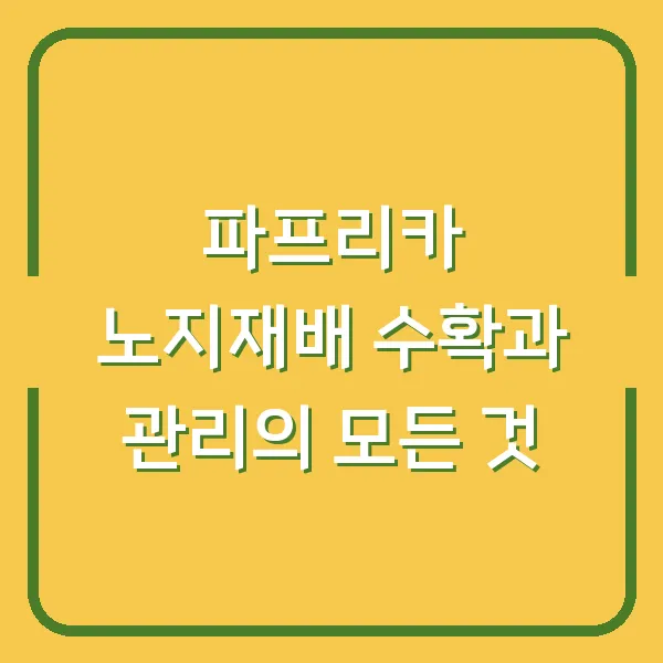 파프리카 노지재배 수확과 관리의 모든 것
