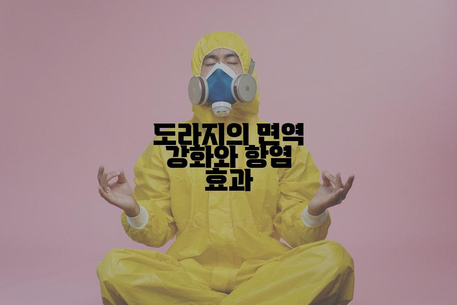도라지의 면역 강화와 항염 효과