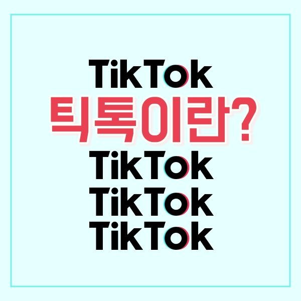  틱톡이란?