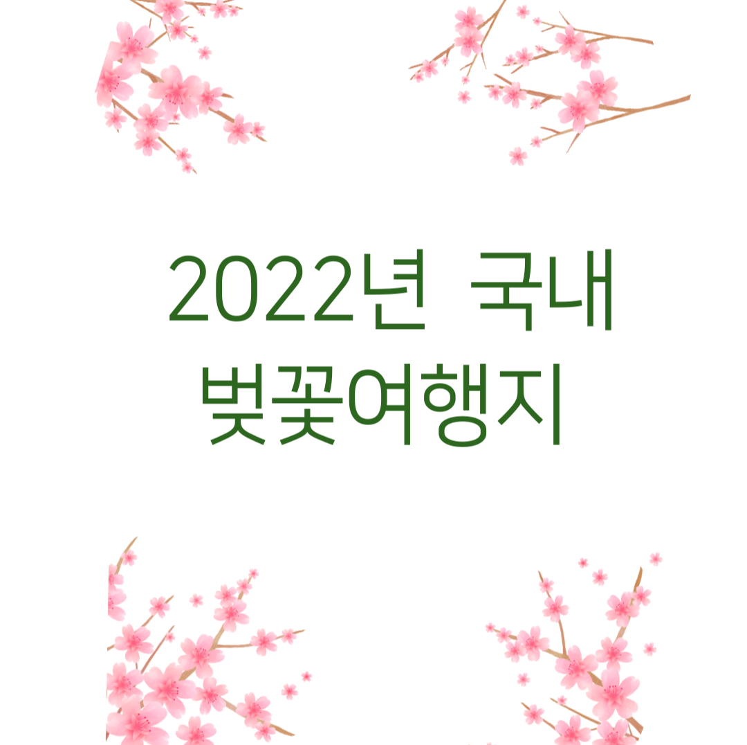 2022년 벚꽃 국내 여행지