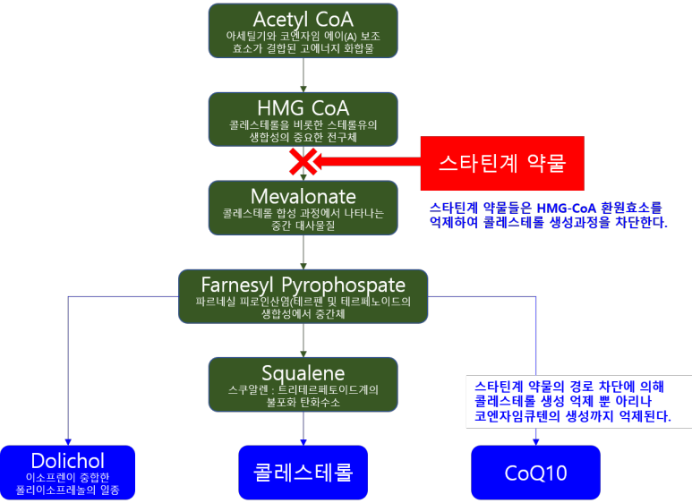 스타틴계 약물