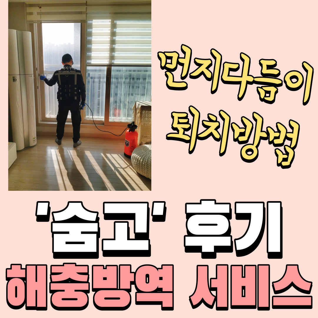 숨고 이용방법, 해충방역 서비스 솔직후기_ 먼지다듬이 퇴치방법(피톤치드 스프레이, 비오킬) 숨고 이용방법, 해충방역 서비스 솔직후기_ 먼지다듬이 퇴치방법(피톤치드 스프레이, 비오킬)