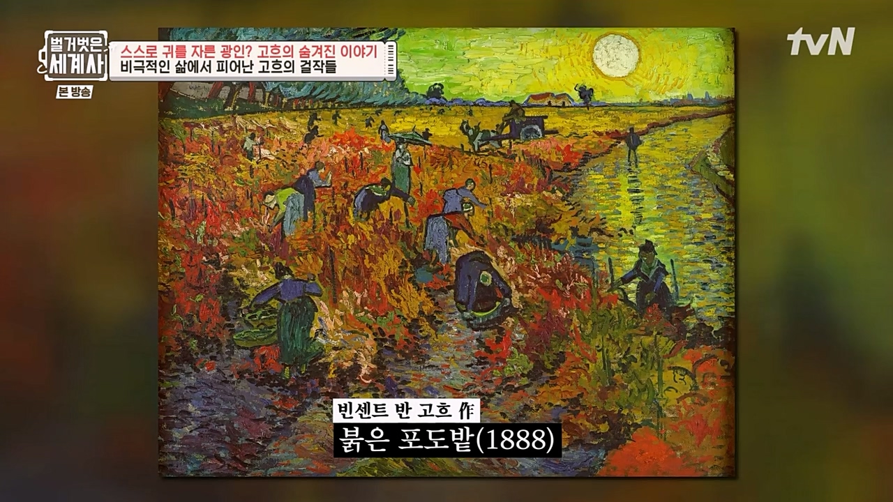 벌거벗은 세계사.E87.230222p-NEXT.mp4_20230401_170313.742.jpg