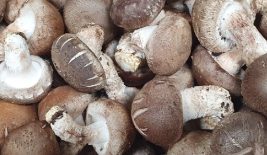 본전식당 이미지