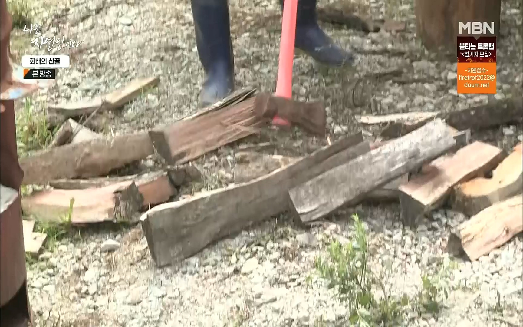 나는 자연인이다.E515.220817p.H264-F1RST.mp4_20220818_201913.345.jpg