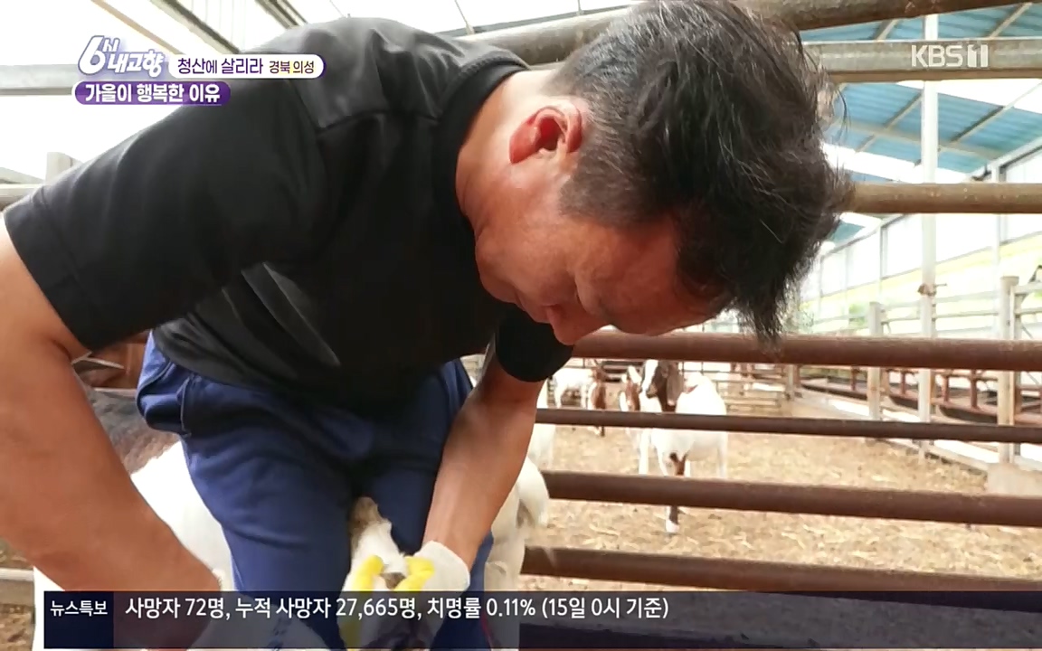6시 내고향.E7618.220916p.H264-F1RST.mp4_20220920_204807.601.jpg