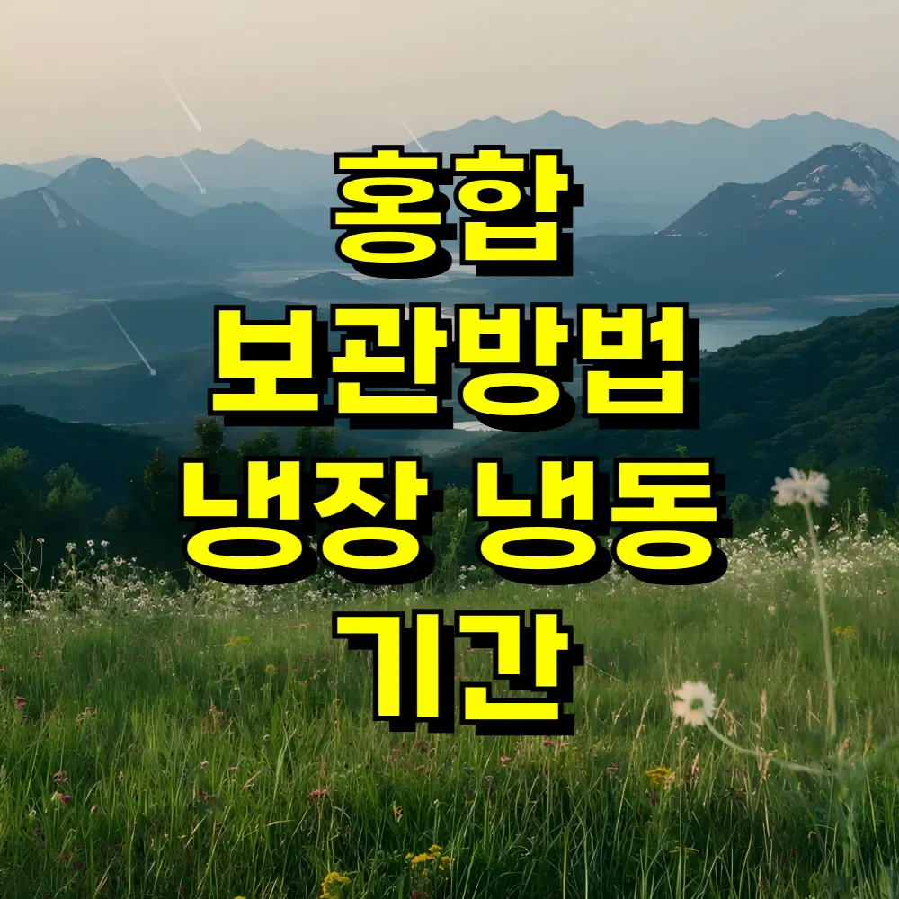 홍합 보관방법 냉장 냉동 기간