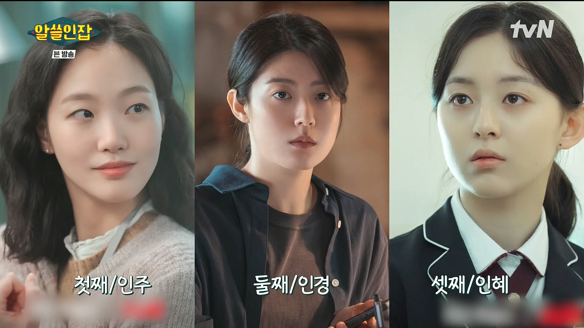 알쓸인잡.E03.221216p.H264-F1RST.mp4_20221218_172826.566.jpg