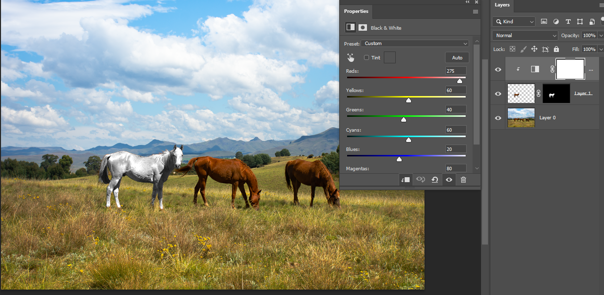 Black & White를 이용해서 수치 값을 조절