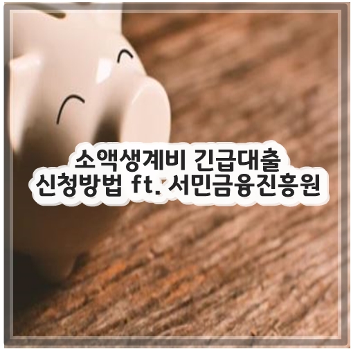 소액생계비 긴급대출 신청방법 ft. 서민금융진흥원