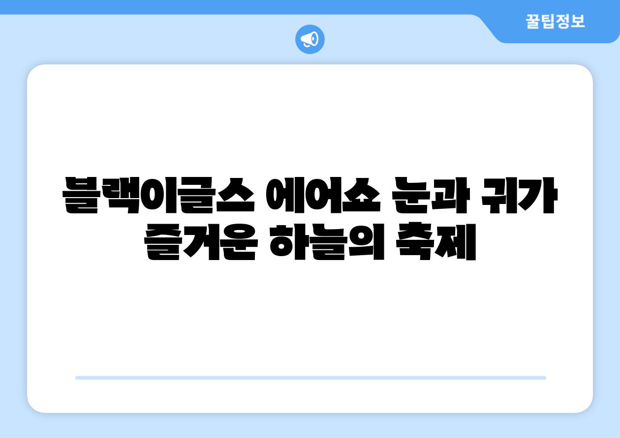 블랙이글스 에어쇼 눈과 귀가 즐거운 하늘의 축제