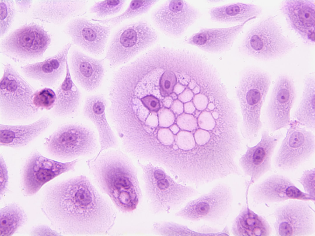 'Cell'