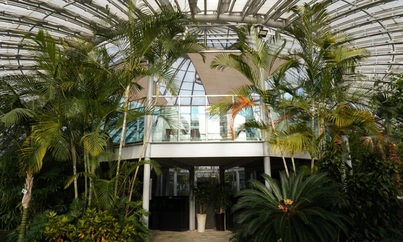 동천자연식물원 열대식물원 사진