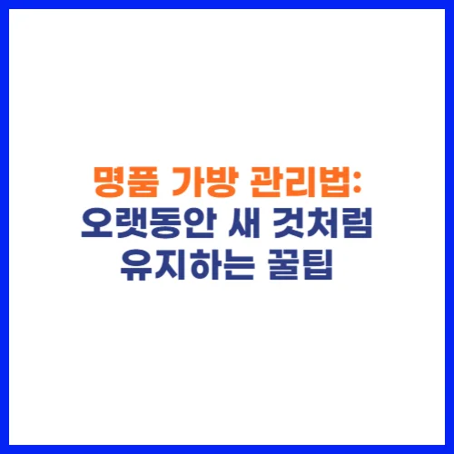 명품 가방 관리법 오랫동안 새 것처럼 유지하는 꿀팁