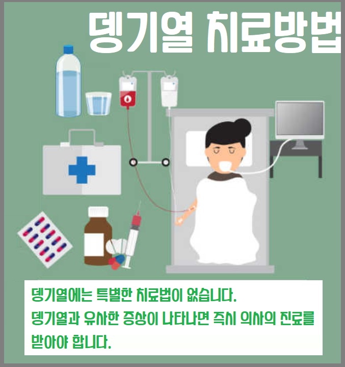 뎅기열 치료방법