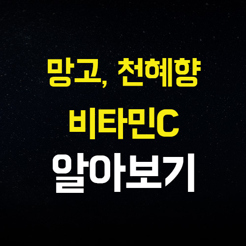  비타민C가 풍부한 망고와 천혜향으로 맛있게 건강 챙기기