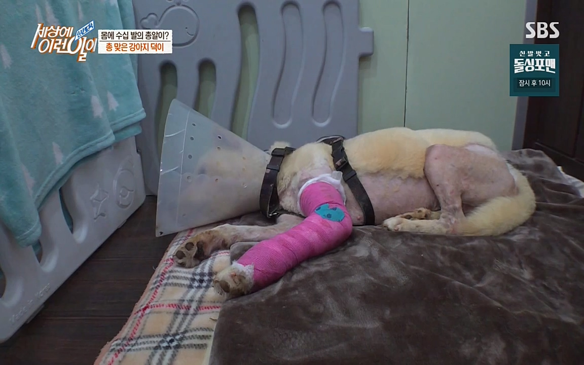 순간포착 세상에 이런일이.E1187.220706p-NEXT.mp4_20220706_202632.286.jpg