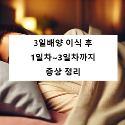 3일배양 이식 후 증상정리