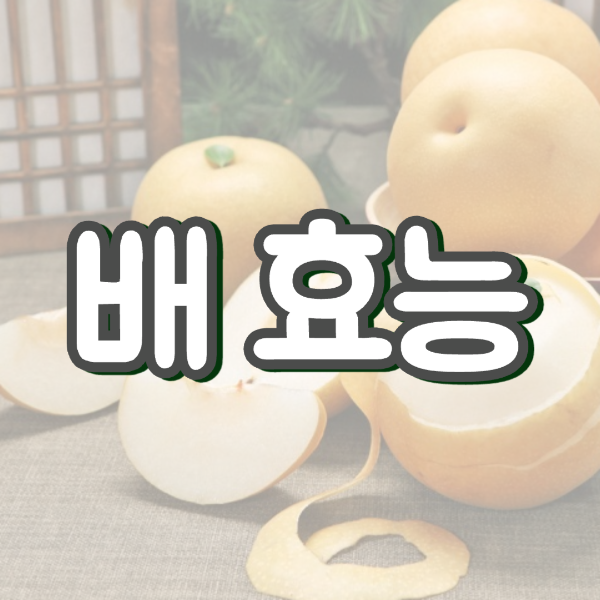 배 효능