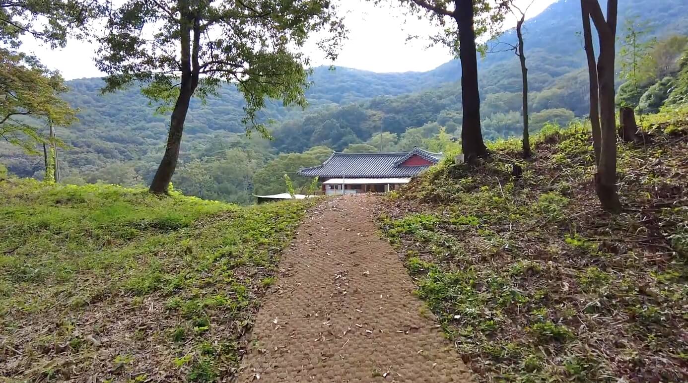 개천사-비자나무숲