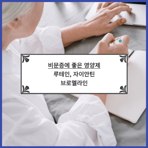 비문증에 좋은 영양제: 루테인&#44; 자이안틴&#44; 브로멜라인