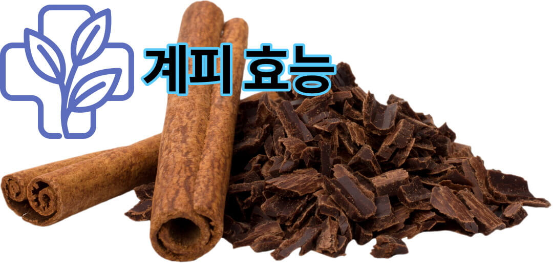  계피의 효능 및 계피 보관하는 방법