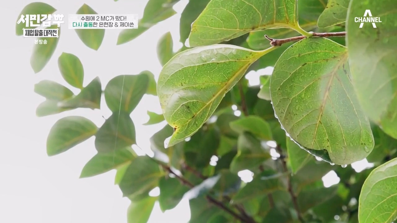 서민갑부 폐업 탈출 대작전.E05.230820p-NEXT.mp4_20230821_203429.943.jpg