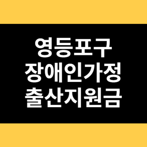 영등포구 장애인가정 출산지원금 썸네일