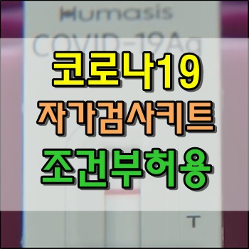  코로나19 자가검사키트