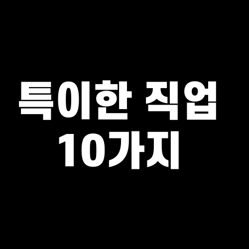 특이한 직업 10가지