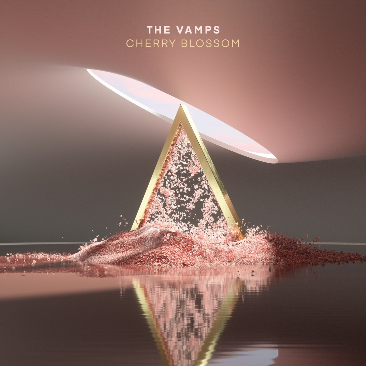  The Vamps - Married In Vegas