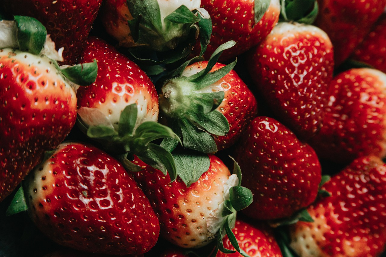 🍓 2025년 논산딸기축제 일정 + 가수 라인업 + 주차 정보 총정리