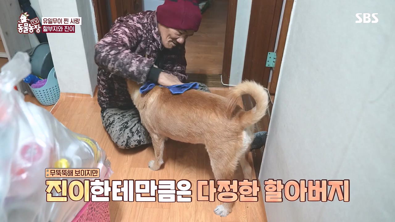 TV 동물농장.E1153.240108p-NEXT.mp4_20240107_173843.581.jpg