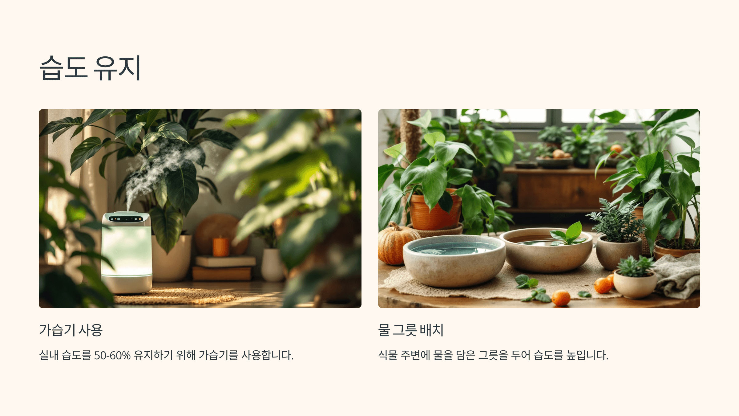 율마와 관련된 사진입니다.