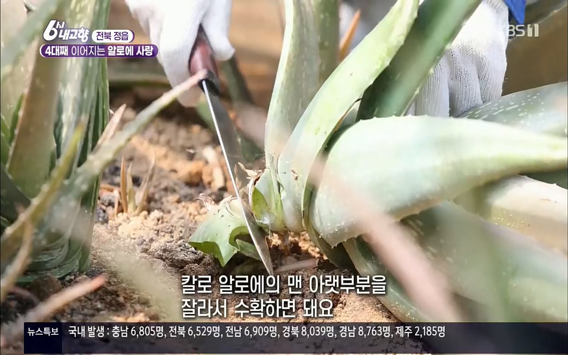 6시 내고향.E7511.220415p.H264-F1RST.mp4_20220425_165832.765.jpg