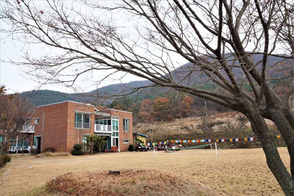 묵방산들국화 이미지