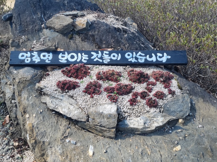 안내-문구