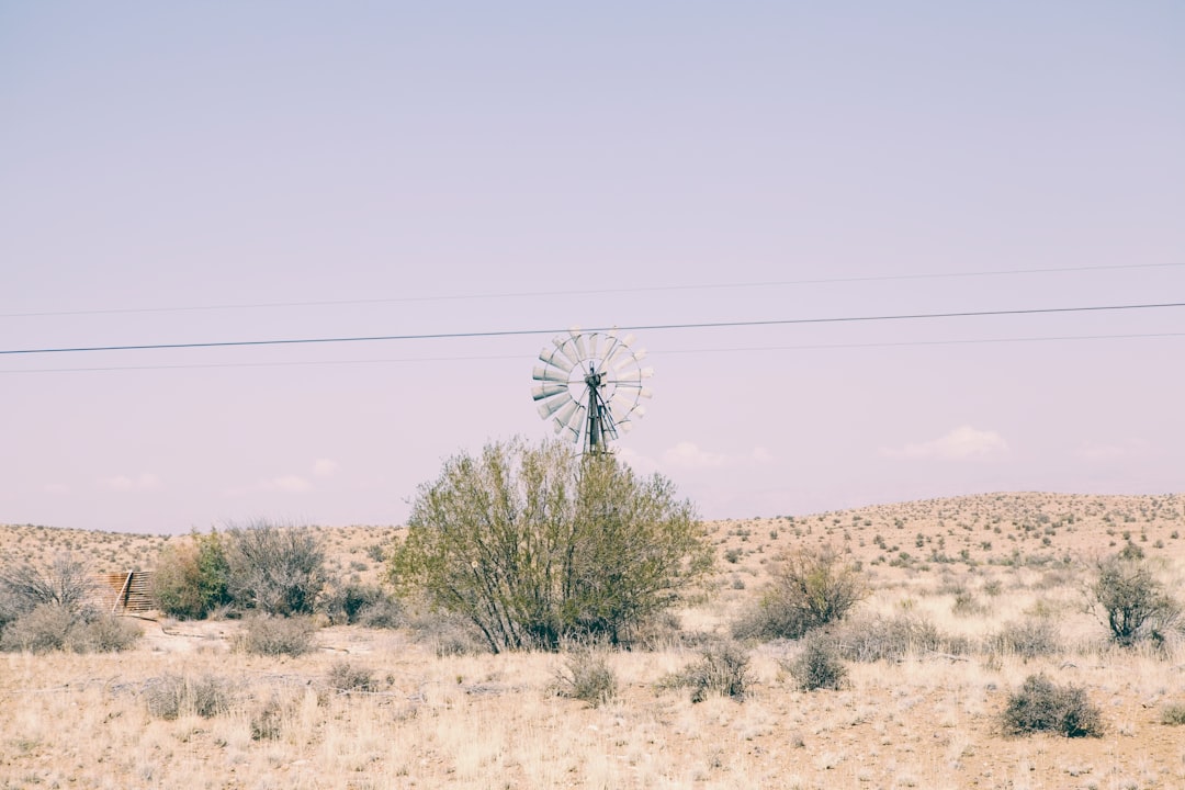Roaming