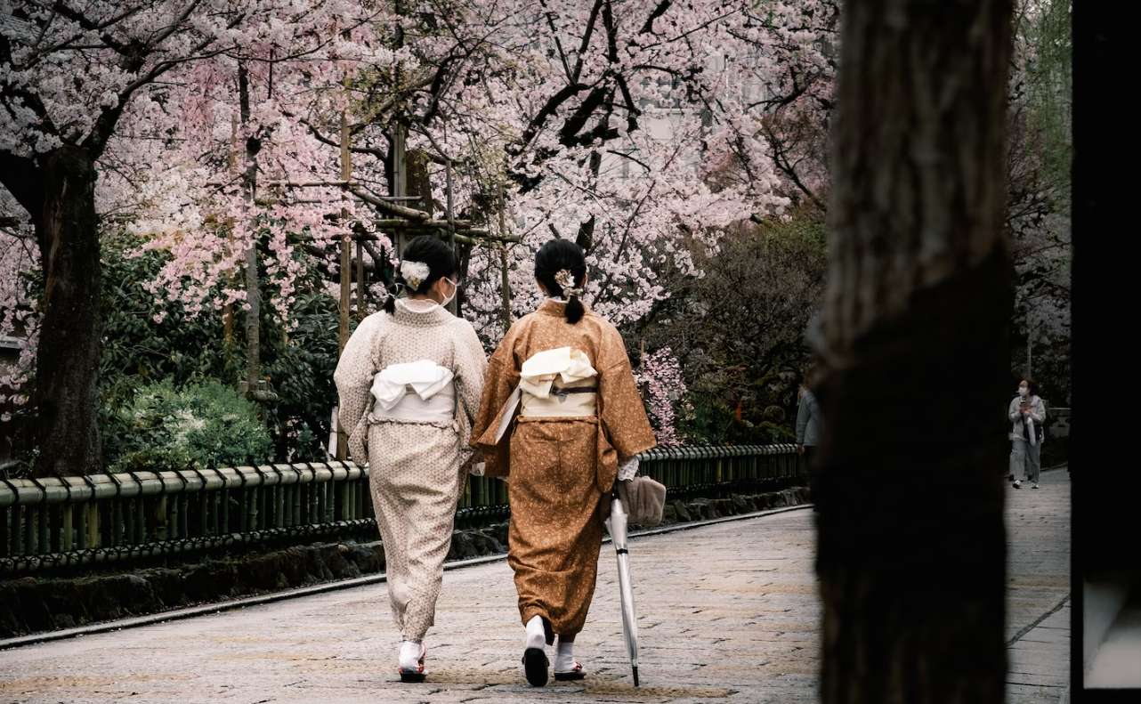 일본 벚꽃 개화시기 도쿄