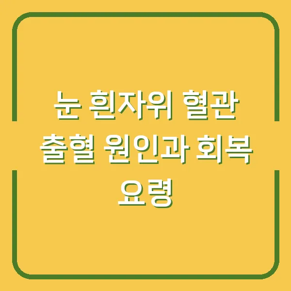 눈 흰자위 혈관 출혈 원인과 회복 요령