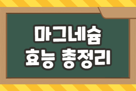 마그네슘 효능